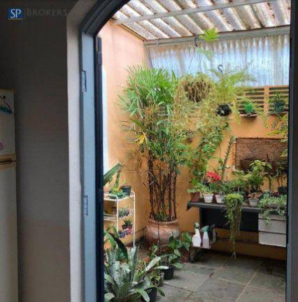 Imagem Casa com 4 Quartos à Venda, 456 m² em Jardim Paraíso - Campinas Imagem Casa com 4 Quartos à Venda, 456 m² em Jardim Paraíso - Campinas