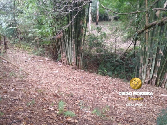 Imagem Chácara com 2 Quartos à Venda, 60 m² em Terra Preta - Mairiporã Imagem Chácara com 2 Quartos à Venda, 60 m² em Terra Preta - Mairiporã