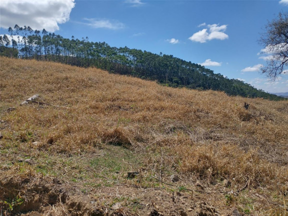 Imagem Chácara à Venda, 1.000 m² em Pocinhos Do Rio Verde - Caldas Imagem Chácara à Venda, 1.000 m² em Pocinhos Do Rio Verde - Caldas