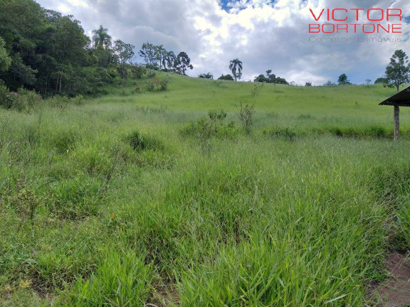 Imagem Chácara com 3 Quartos à Venda, 1.671 m² em Luiz Carlos - Guararema Imagem Chácara com 3 Quartos à Venda, 1.671 m² em Luiz Carlos - Guararema