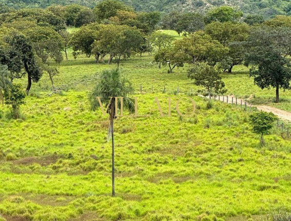 Imagem Chácara com 3 Quartos à Venda, 500 m² em Niquelândia Imagem Chácara com 3 Quartos à Venda, 500 m² em Niquelândia