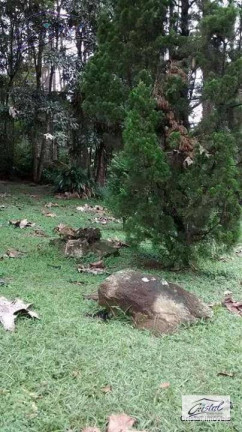 Imagem Chácara com 5 Quartos à Venda, 280 m² em Santana - Cotia Imagem Chácara com 5 Quartos à Venda, 280 m² em Santana - Cotia