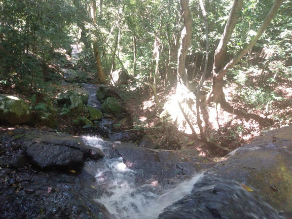 Imagem Imóvel à Venda, 7.700 m² em Voluntária Baixa - Igrejinha Imagem Imóvel à Venda, 7.700 m² em Voluntária Baixa - Igrejinha