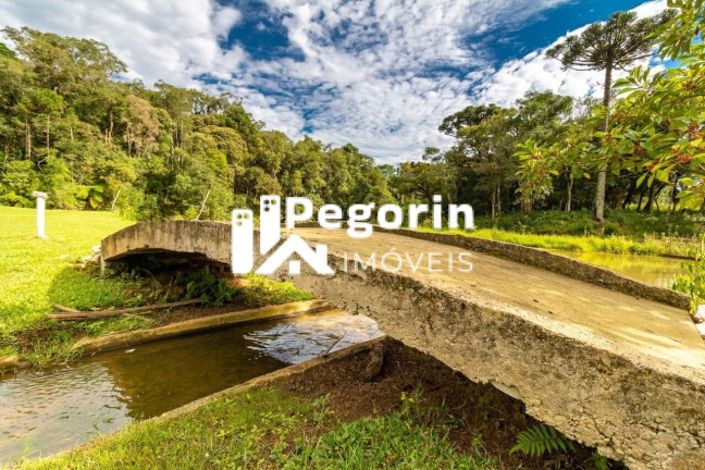 Imagem Imóvel com 7 Quartos à Venda, 39.000 m² em Zona Rural - Bocaiúva Do Sul
