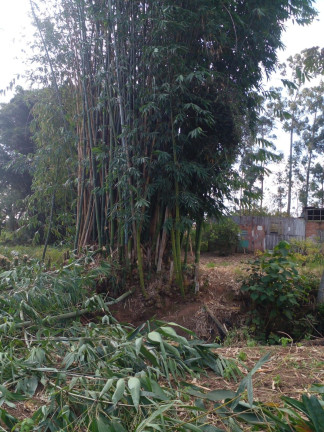 Imagem Imóvel à Venda, 5.000 m² em Vila Aparecida - Suzano