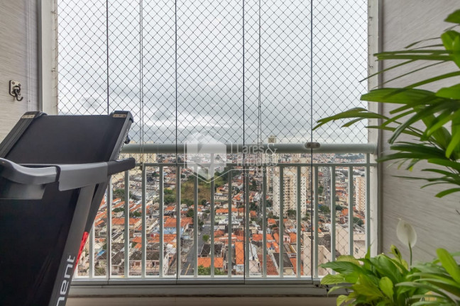 Imagem Apartamento com 3 Quartos à Venda, 65 m² em Vila Vera - São Paulo Imagem Apartamento com 3 Quartos à Venda, 65 m² em Vila Vera - São Paulo
