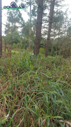 Terreno à Venda,  em águas Claras - Viamão