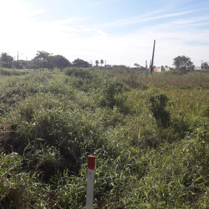 Imagem Terreno à Venda, 376 m² em Estância Balneária De Itanhaém - Itanhaém Imagem Terreno à Venda, 376 m² em Estância Balneária De Itanhaém - Itanhaém