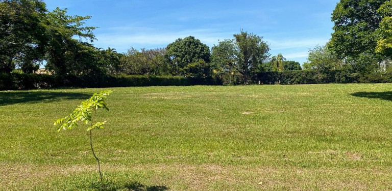 Imagem Terreno à Venda, 6.000 m² em Fazenda Vila Real De Itu - Itu Imagem Terreno à Venda, 6.000 m² em Fazenda Vila Real De Itu - Itu