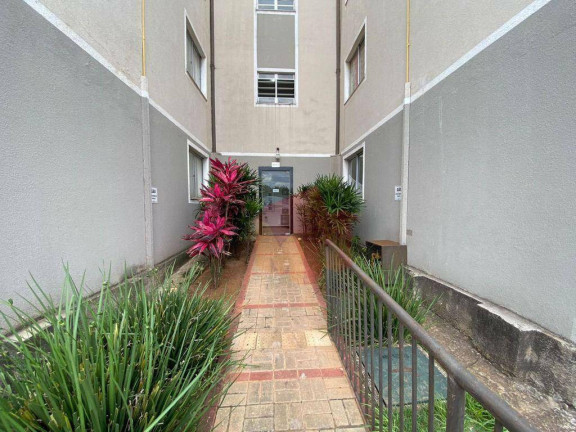 Imagem Apartamento com 2 Quartos à Venda, 50 m² em Jardim Recanto - Americana Imagem Apartamento com 2 Quartos à Venda, 50 m² em Jardim Recanto - Americana