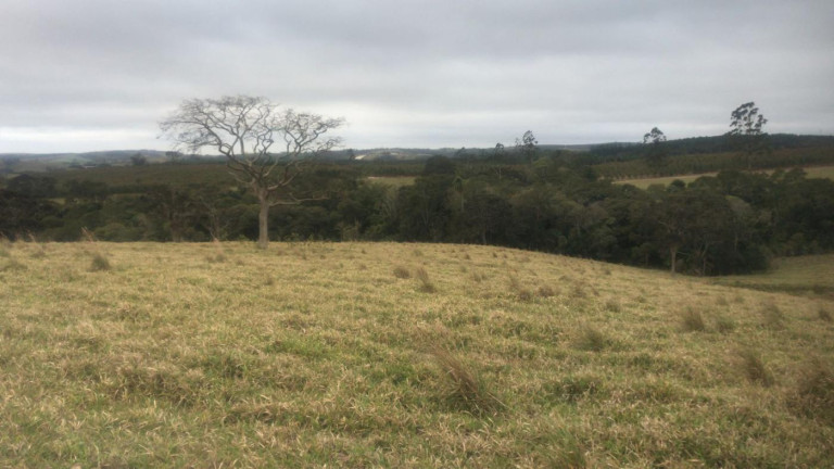 Imagem Fazenda à Venda, 59 m² em Rural - São Miguel Arcanjo