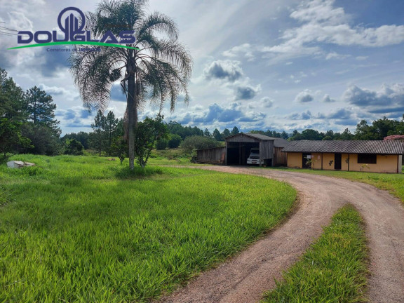 Imagem Imóvel Comercial à Venda, 10.000 m² em Viamão