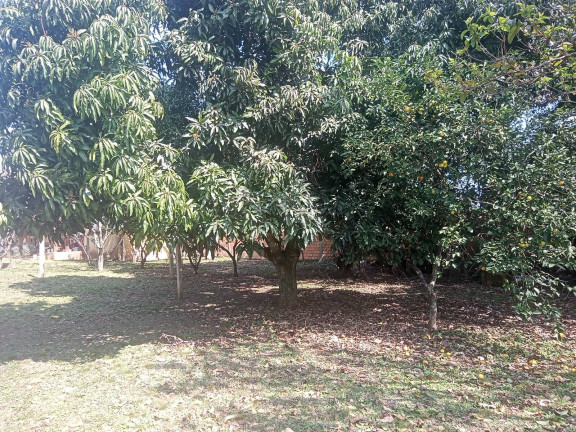 Imagem Casa com 2 Quartos à Venda, 1.005 m² em águas Claras - Viamão