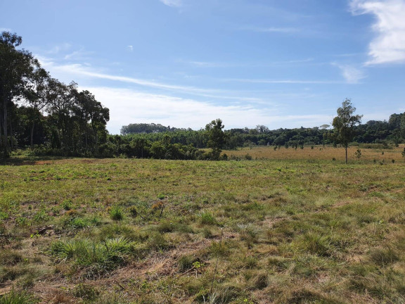 Imagem Chácara à Venda, 100 m² em Sanga Funda - Portão Imagem Chácara à Venda, 100 m² em Sanga Funda - Portão