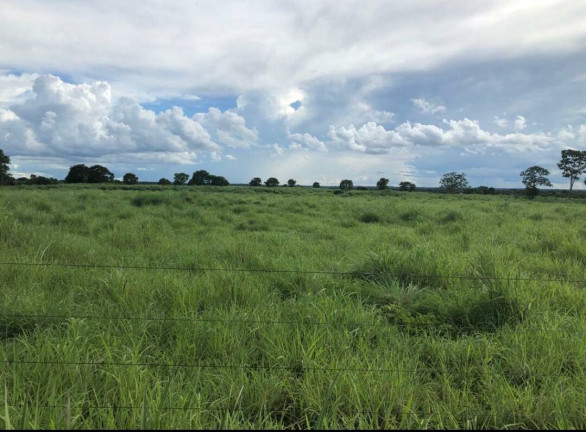 Imagem Fazenda à Venda, 2.000 m² em Cuiabá Imagem Fazenda à Venda, 2.000 m² em Cuiabá