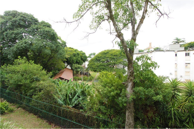 Imagem Imóvel com 1 Quarto à Venda, em Santo Antônio - Porto Alegre Imagem Imóvel com 1 Quarto à Venda, em Santo Antônio - Porto Alegre