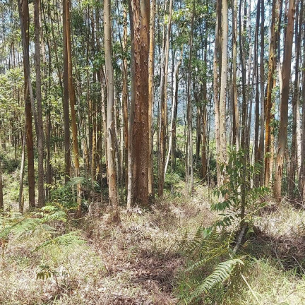 Imagem Terreno à Venda, 14 m² em Lumiar - Boa Esperanca - Nova Friburgo Imagem Terreno à Venda, 14 m² em Lumiar - Boa Esperanca - Nova Friburgo