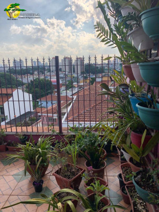 Imagem Sobrado com 4 Quartos à Venda, 241 m² em Vila Maria Luisa - São Paulo Imagem Sobrado com 4 Quartos à Venda, 241 m² em Vila Maria Luisa - São Paulo