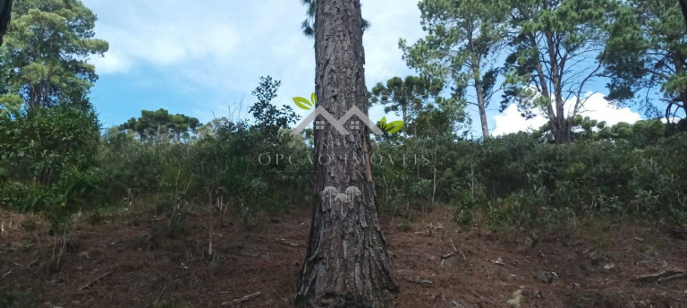 Imagem Terreno à Venda, 5 m² em Cidade Do Sol Ii - Campos Do Jordão Imagem Terreno à Venda, 5 m² em Cidade Do Sol Ii - Campos Do Jordão