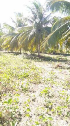 Imagem Terreno à Venda, 2 m² em São Cristóvão - Salvador