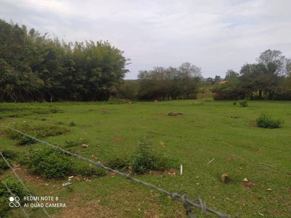 Imagem Terreno à Venda, 21.000 m² em Cruz De Cedro - Quadra Imagem Terreno à Venda, 21.000 m² em Cruz De Cedro - Quadra