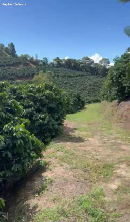 Imagem Fazenda à Venda, 11 m² em Manhumirim