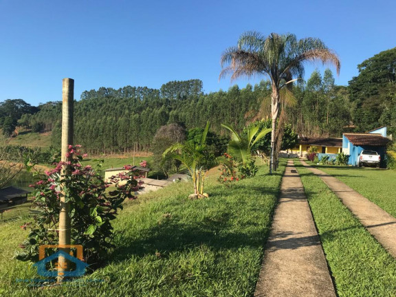 Imagem Fazenda à Venda, 55.000 m² em Bom Jesus Do Bagre - Belo Oriente Imagem Fazenda à Venda, 55.000 m² em Bom Jesus Do Bagre - Belo Oriente