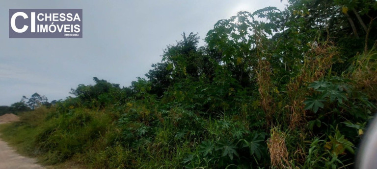 Imagem Terreno à Venda, 36.151 m² em Rio Furado - Balneário Piçarras Imagem Terreno à Venda, 36.151 m² em Rio Furado - Balneário Piçarras
