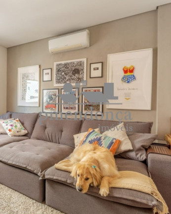 Imagem Apartamento com 3 Quartos à Venda, 163 m² em Higienópolis - São Paulo Imagem Apartamento com 3 Quartos à Venda, 163 m² em Higienópolis - São Paulo