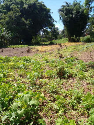Imagem Imóvel à Venda, 5.000 m² em Vila Aparecida - Suzano