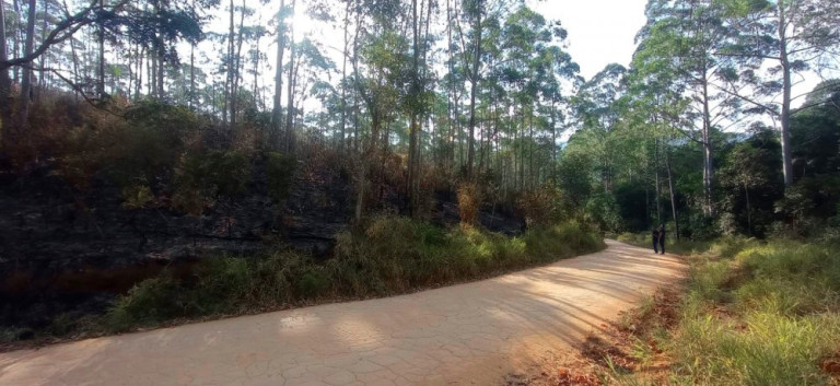 Imagem Imóvel à Venda, 266.200 m² em Pedra Vermelha (terra Preta) - Mairiporã Imagem Imóvel à Venda, 266.200 m² em Pedra Vermelha (terra Preta) - Mairiporã
