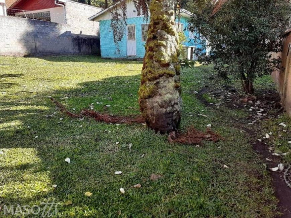 Imagem Terreno à Venda, 881 m² em São José - Canela Imagem Terreno à Venda, 881 m² em São José - Canela