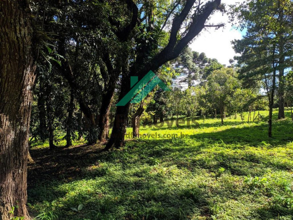 Imagem Terreno à Venda, 1.977 m² em Cachoeira - Curitiba Imagem Terreno à Venda, 1.977 m² em Cachoeira - Curitiba