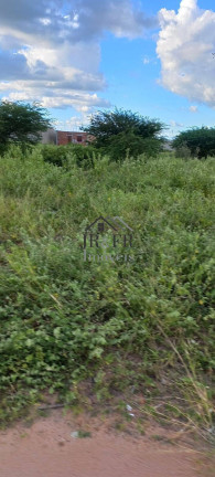 Imagem Terreno à Venda, 4 m² em Centro - Ponto Novo