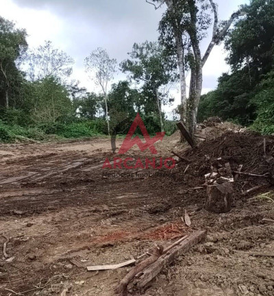 Imagem Terreno à Venda, 853 m² em Mato Dentro - Ubatuba