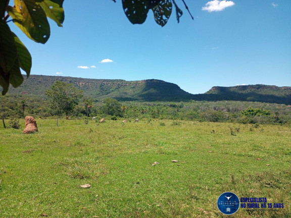 Imagem Fazenda à Venda, 38 m² em Zona Rural - Caiapônia Imagem Fazenda à Venda, 38 m² em Zona Rural - Caiapônia