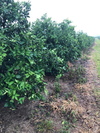 Imagem Chácara à Venda, 14 m² em Rural - águas De Santa Bárbara