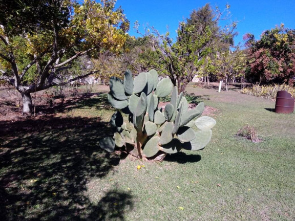Imagem Chácara com 4 Quartos à Venda, 300 m² em Jardim São Felipe - Atibaia Imagem Chácara com 4 Quartos à Venda, 300 m² em Jardim São Felipe - Atibaia