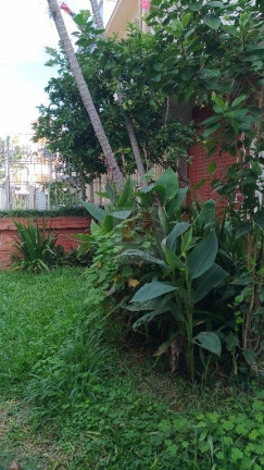 Imagem Casa com 6 Quartos à Venda, 364 m² em Menino Deus - Porto Alegre Imagem Casa com 6 Quartos à Venda, 364 m² em Menino Deus - Porto Alegre
