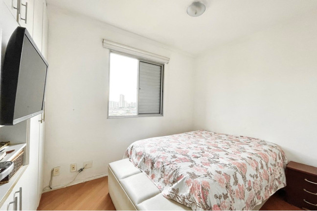 Imagem Apartamento com 3 Quartos à Venda, 61 m² em Cambuci - São Paulo Imagem Apartamento com 3 Quartos à Venda, 61 m² em Cambuci - São Paulo
