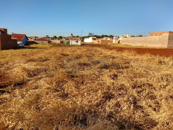 Imagem Terreno à Venda, em Centro - Brodowski Imagem Terreno à Venda, em Centro - Brodowski