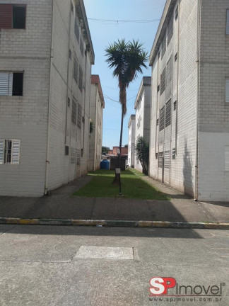 Imagem Apartamento com 2 Quartos à Venda, 60 m² em Jardim Das Rosas - São Paulo Imagem Apartamento com 2 Quartos à Venda, 60 m² em Jardim Das Rosas - São Paulo