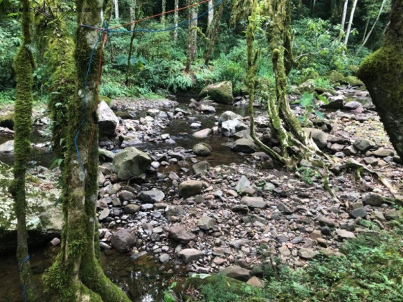 Imagem Imóvel com 2 Quartos à Venda, 80 m² em Linha Pirajá Baixa - Nova Petrópolis