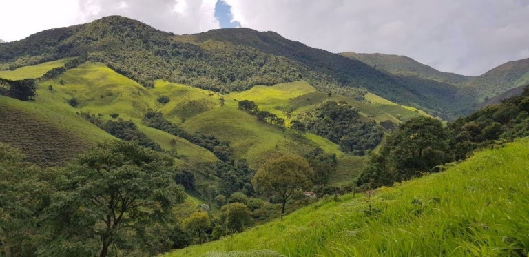 Imagem Chácara com 2 Quartos à Venda, 100 m² em Campos De Cunha - Silveiras