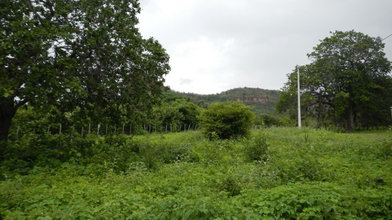 Imagem Fazenda à Venda, 3.500 m² em Rural - São Francisco Do Maranhão Imagem Fazenda à Venda, 3.500 m² em Rural - São Francisco Do Maranhão