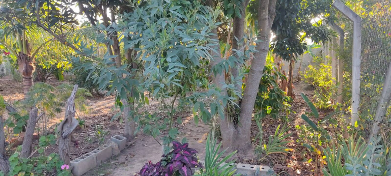 Imagem Chácara com 2 Quartos à Venda, 1.080 m² em Zona Rural - Araçoiaba Da Serra Imagem Chácara com 2 Quartos à Venda, 1.080 m² em Zona Rural - Araçoiaba Da Serra