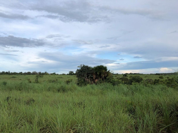 Imagem Fazenda à Venda,  em Rural - Figueirópolis