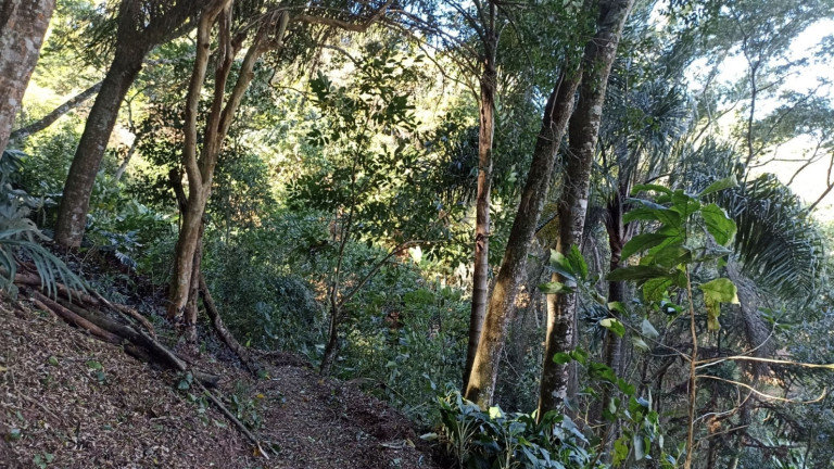 Imagem Chácara com 3 Quartos à Venda, 200 m² em Canaã I - Jambeiro Imagem Chácara com 3 Quartos à Venda, 200 m² em Canaã I - Jambeiro