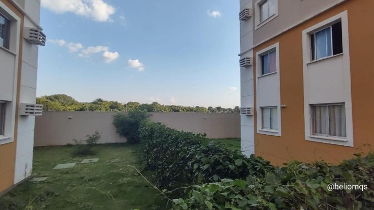 Imagem Apartamento com 3 Quartos à Venda, 65 m² em Vila Albuquerque - Campo Grande