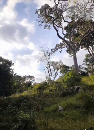 Imagem Fazenda à Venda, 9 m² em São João Da Boa Vista Imagem Fazenda à Venda, 9 m² em São João Da Boa Vista
